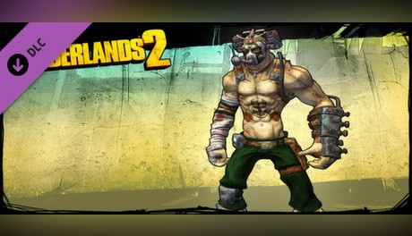 Buy Borderlands 2: Psycho Party Pack PC key