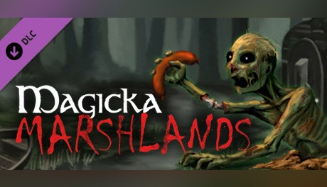 Buy Magicka: Marshlands PC key